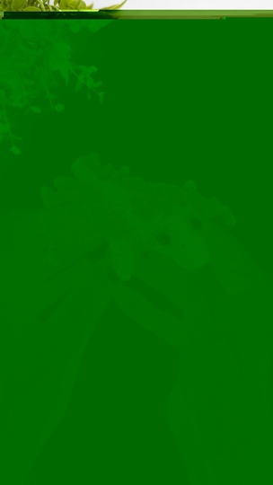 Crochet mini dragon pattern, amigurumi baby dragon crochet pattern