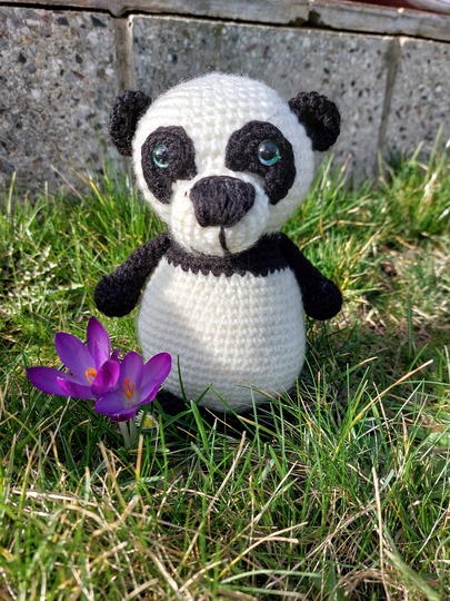 Pandabär Willi häkeln ca. 15 cm hoch, Panda Bär Amigurumi