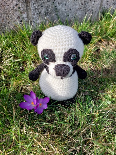 Pandabär Willi häkeln ca. 15 cm hoch, Panda Bär Amigurumi