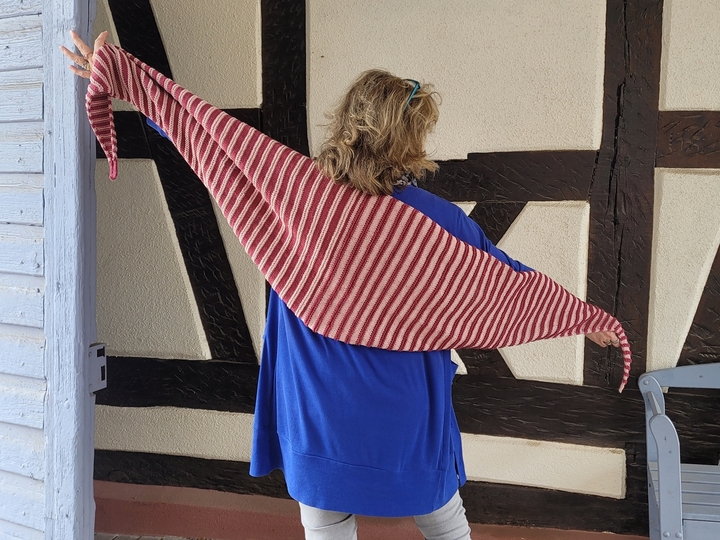 Dreieckstuch Susans Inspiration