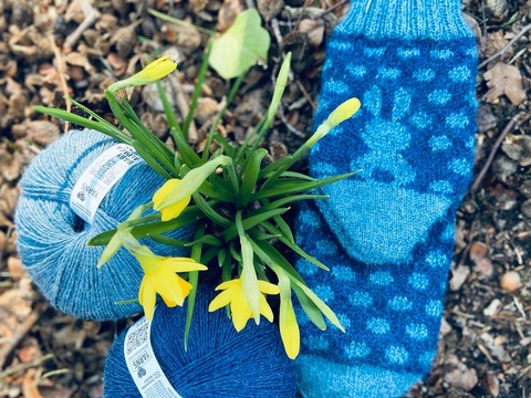 Hoppelsocken PDF Anleitung zu Ostern  nur Charts