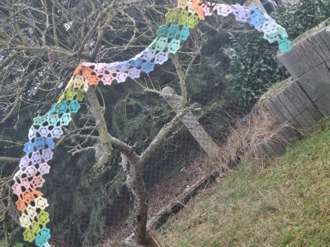 Blummi-Bloom - Bild 5