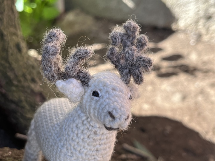 Reindeer Kaya amigurumi crochet pattern