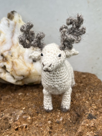 Reindeer Kaya amigurumi crochet pattern