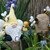 Bee gnome crochet pattern in english and german