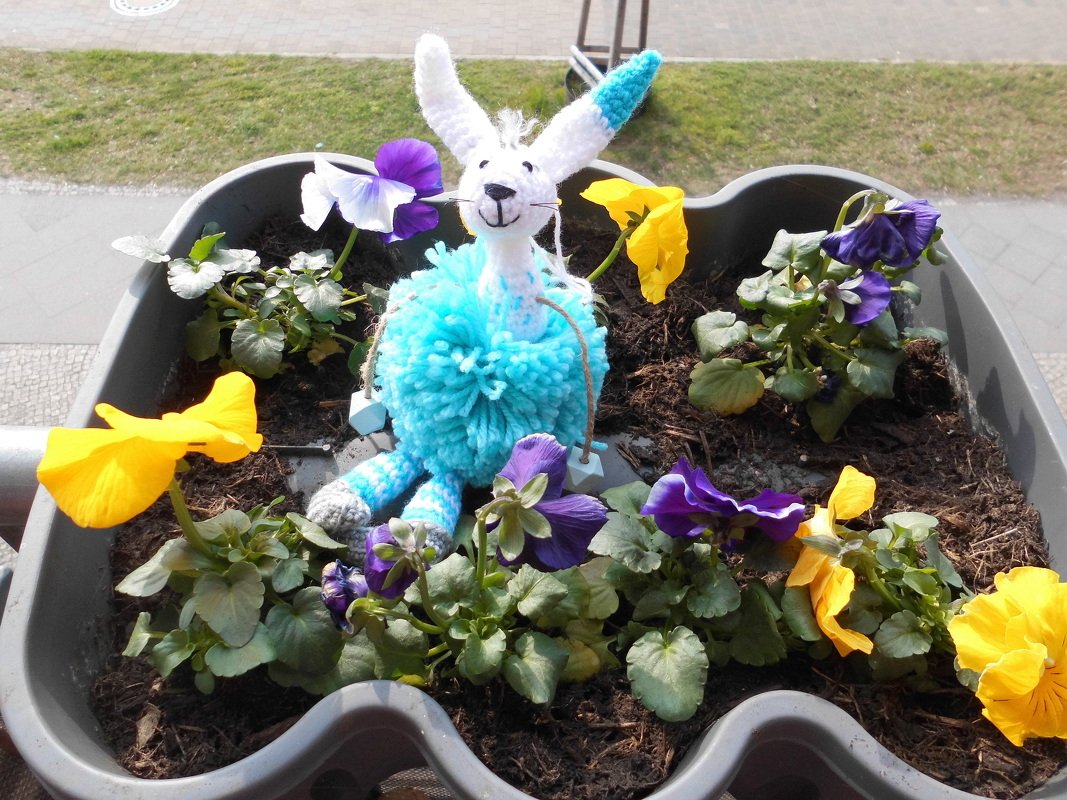Pompon-Amigurumi-Hase in Türkis und Weiß im Blumenkasten mit gelben und violetten Stiefmütterchen