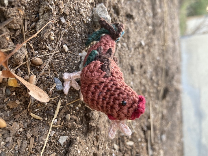 Hen Berti and rooster Karuso amigurumi crochet Pattern Bundle