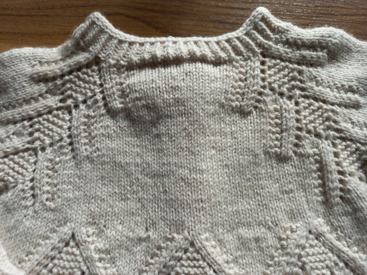 Strickanleitung Mädchenjacke in 7 Größen, 62-140, mit wunderschönem Raglan