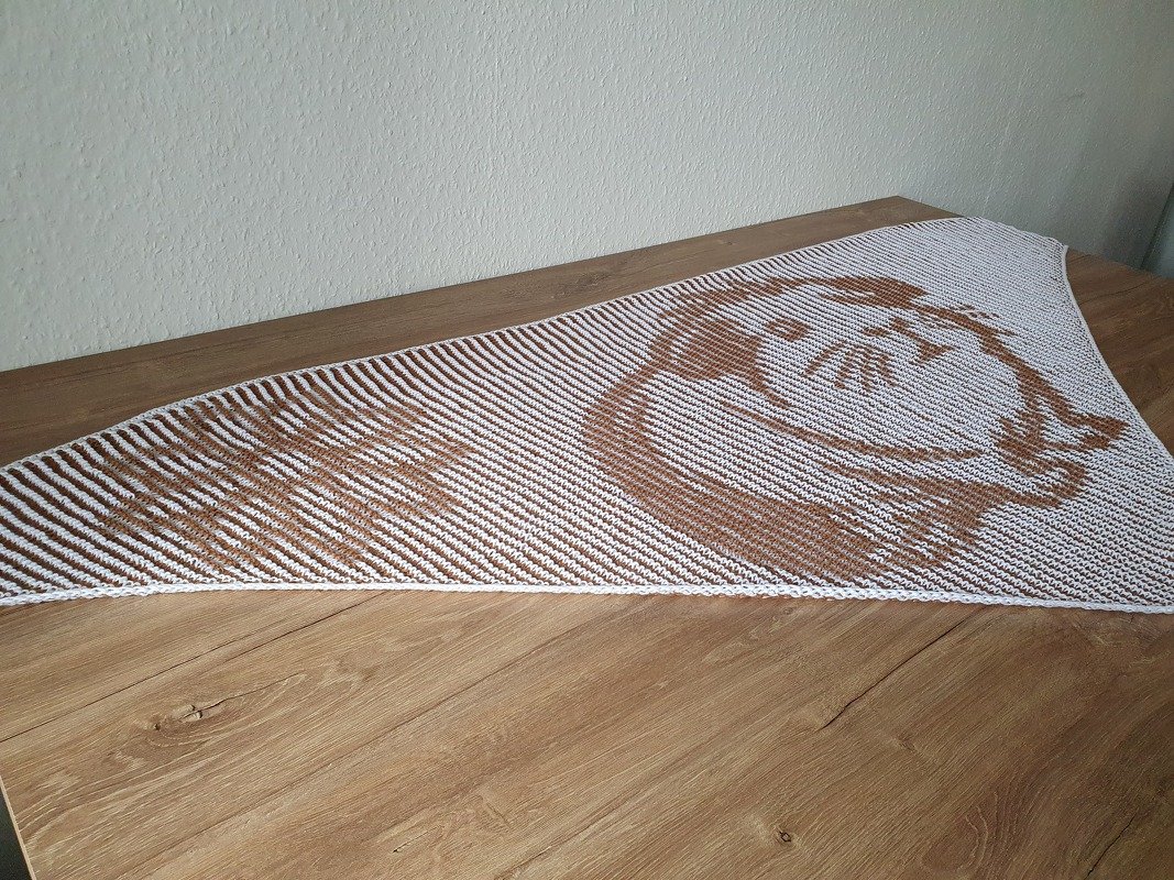 Meerschweinchen, Schattenstricken, Illusionsstricken, Motivtuch