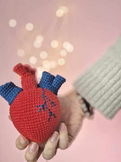 Crochet anatomical heart amigurumi pattern
