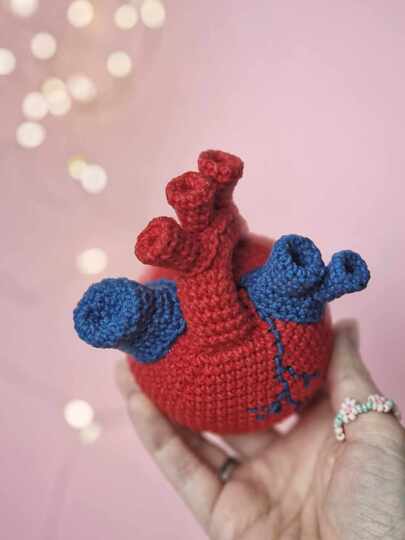 Crochet anatomical heart amigurumi pattern