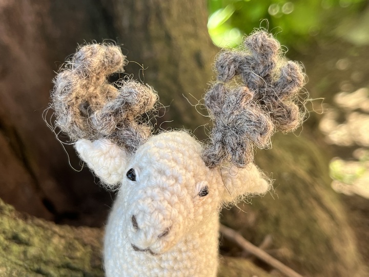 Waldtiere Häkelanleitungen Bundle, Hirsch, Eule, Eichhörnchen, Maus