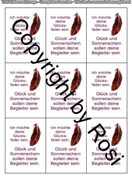 Glücksfeder Kärtchen zum Beilegen - Bild 2