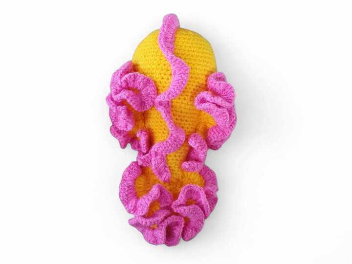 Häkelanleitung Elvira der Korallenfisch