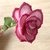 Eine Rose zum Muttertag