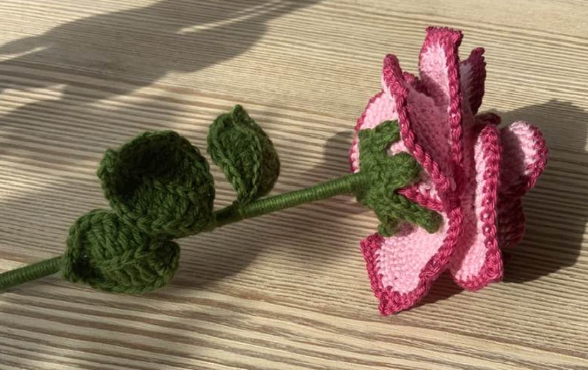 Eine Rose Geburtstag- Hochzeit-Muttertag