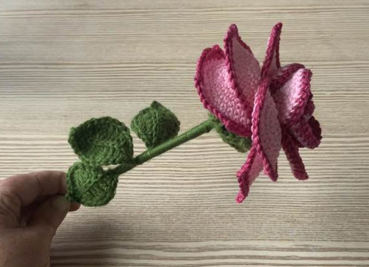 Eine Rose Geburtstag- Hochzeit-Muttertag