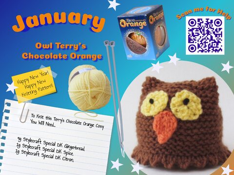 Owl Chocolate Orange Cosy Knitting Pattern