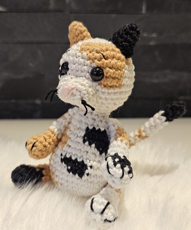 Kleine Katze - Bild 3