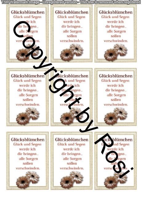 Glücksblümchen - Glückswürmchen - Sprüche - Kärtchen - Karte - Bild 2