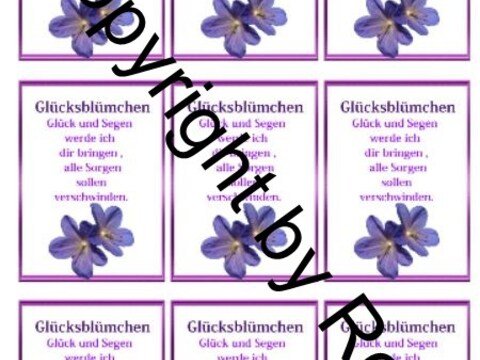 Glücksblümchen - Glückswürmchen - Sprüche - Kärtchen - Karte