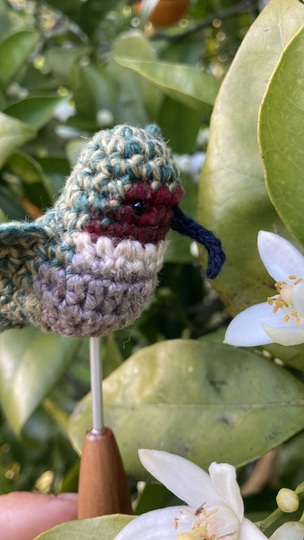 Kolibri Calla Amigurumi Häkelanleitung