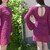 Damen Tunika/Kleid * Strickanleitung * Strandkleid * Gr. S-M-L
