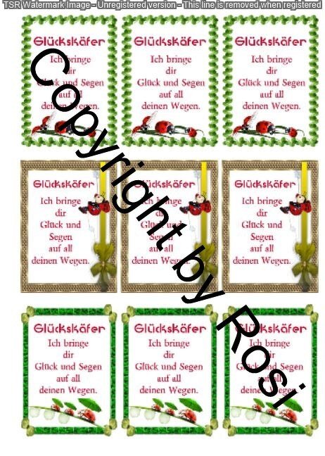 Kärtchen Beilage für Glückskäfer