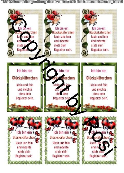 Kärtchen, Karten zum Beilegen von Glückskäfer