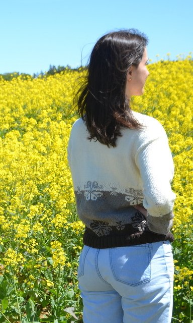 Damen Pullover * Strickanleitung * Gr. S - XXL * - Bild 3