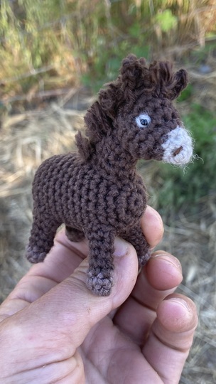 Donkey Emma amigurumi crochet Pattern