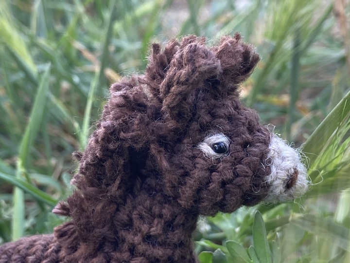 Donkey Emma amigurumi crochet Pattern