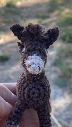 Donkey Emma amigurumi crochet Pattern