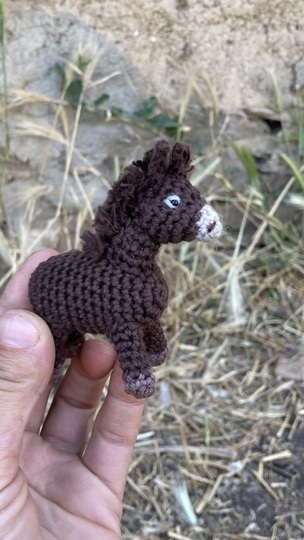 Donkey Emma amigurumi crochet Pattern