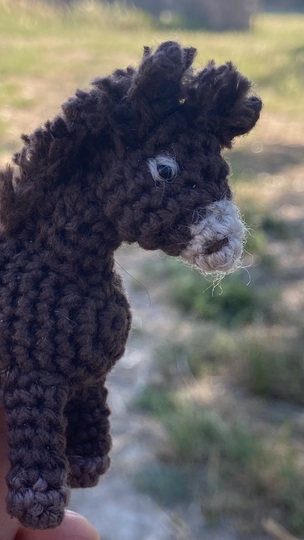 Donkey Emma amigurumi crochet Pattern