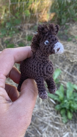 Donkey Emma amigurumi crochet Pattern