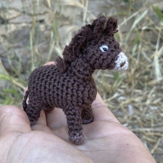 Donkey Emma amigurumi crochet Pattern