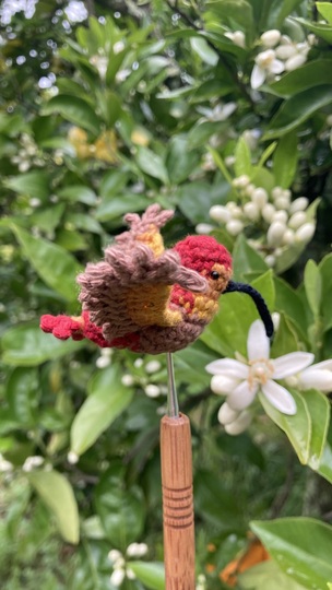 Kolibri Calla Häkelanleitung