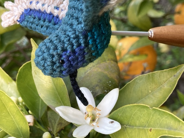 Kolibri Calla Häkelanleitung