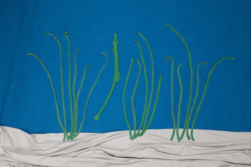 Amigurumi Häkelanleitung Grasnadel mit Seegras