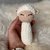Lulu the Lamb: Crochet Pattern for an Enchanting Baby Rattle