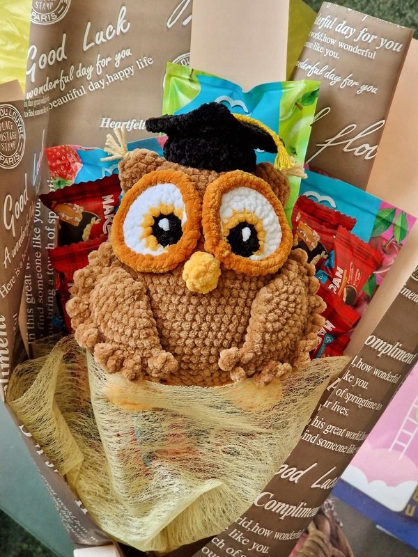 Crochet plush graduation owl amigurumi pattern - Crochet gift for teacher - Image 8