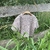 Strickanleitung Kinderpullover Milena Größe 104 – 134