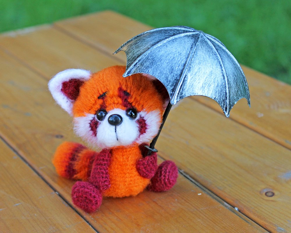 Roter Panda - Bild 5