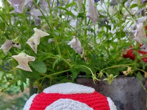 XXL und Mini Glückspilz Level Up häkeln ca. 18 und 5 cm hoch, Amigurumi