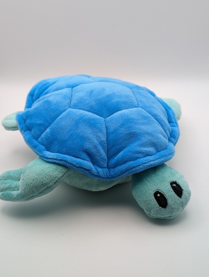 Krempeltierseite Schildkröte - Level 3