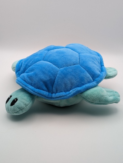 Krempeltierseite Schildkröte - Level 3