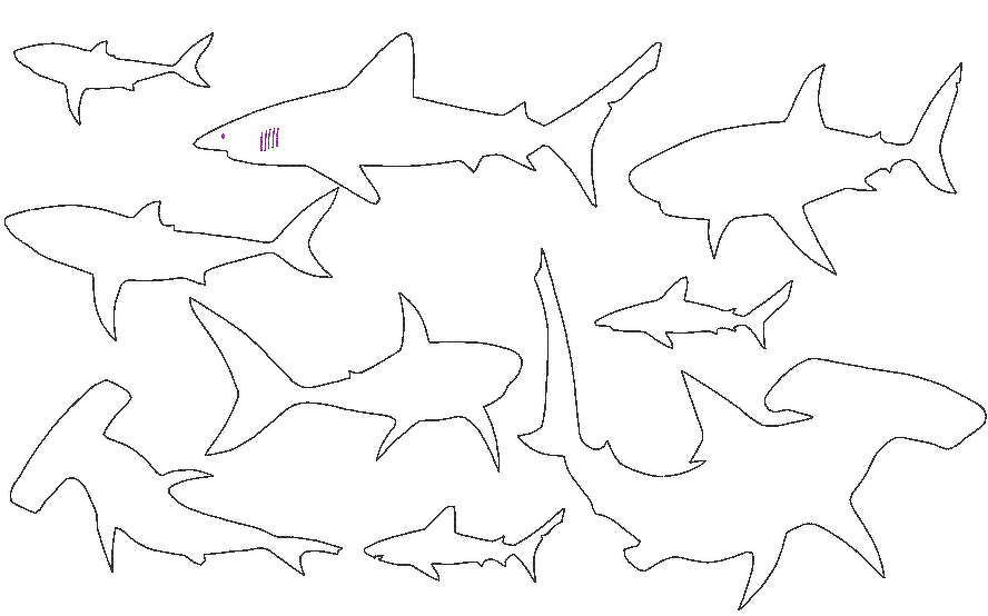 Stickdatei - Hai Raubfisch Linien