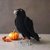 Raven. Halloween decor. Crochet pattern