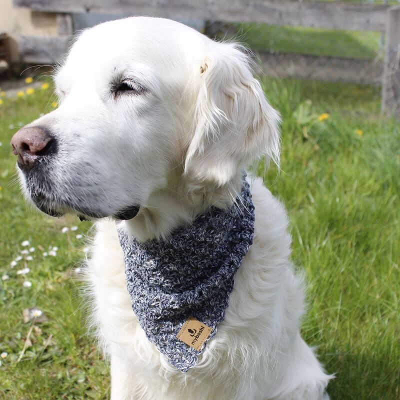Weißer Golden Retriever trägt ein grau-weiß meliertes, gehäkeltes Halstuch.